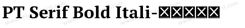 PT Serif Bold Itali字体转换